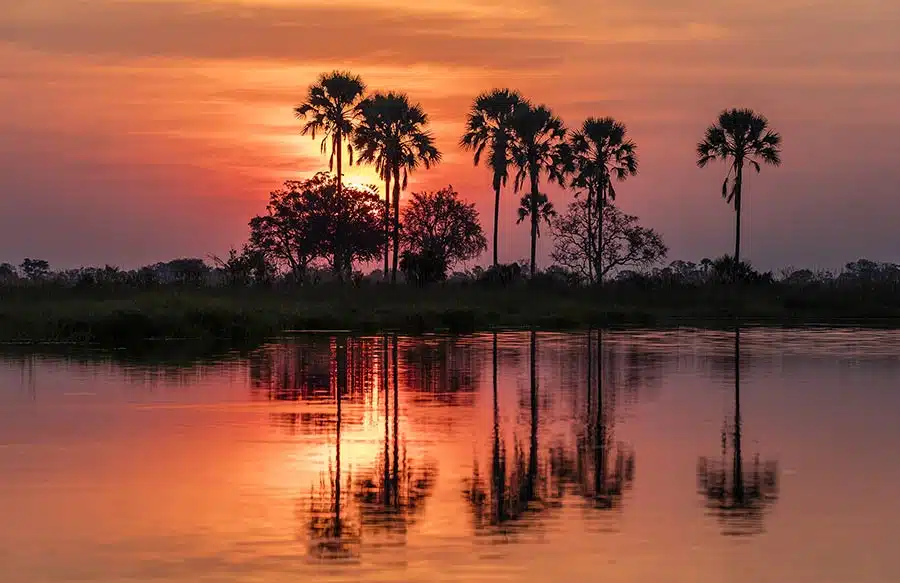Itchy Feet Safaris sunset