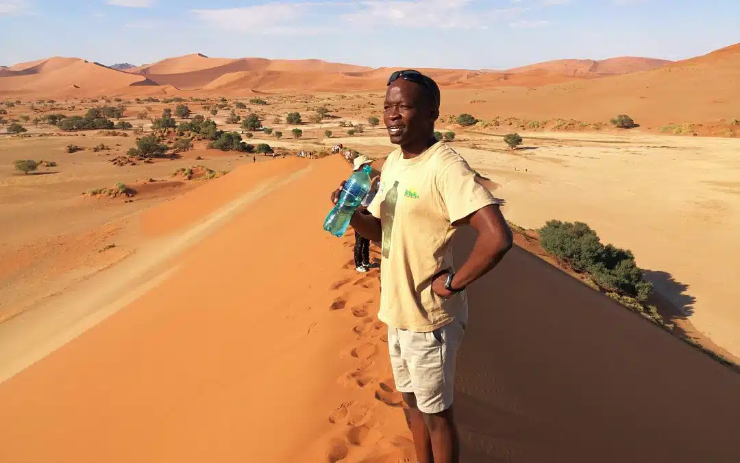 Tracking the sand dunes of the Namib desert