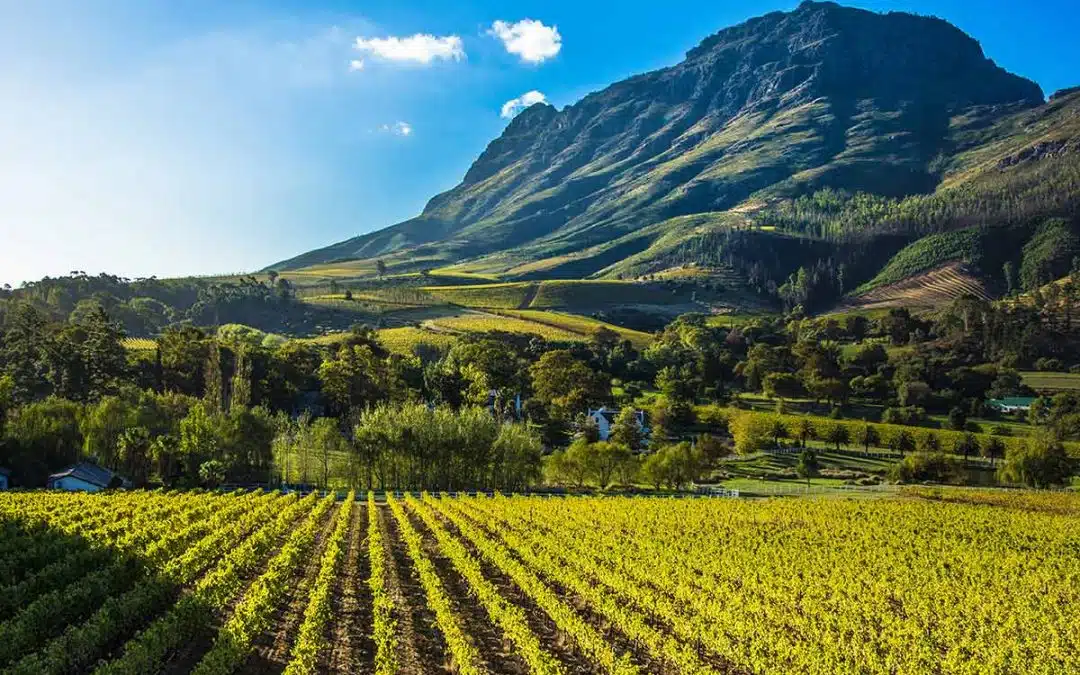 Cape Winelands, Itchy Feet Tours and Safaris