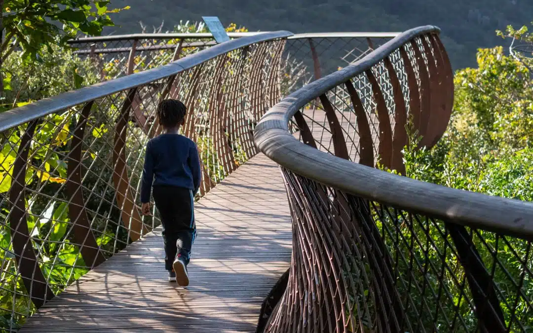 Discovering Kirstenbosch Botanical Gardens: A Nature Lover’s Paradise
