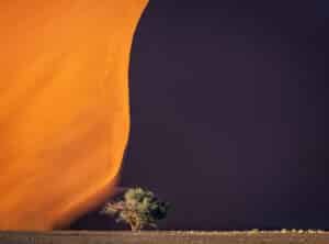 Namib desert dune contrast