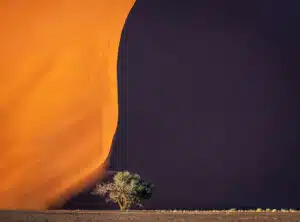 Namib desert dune contrast